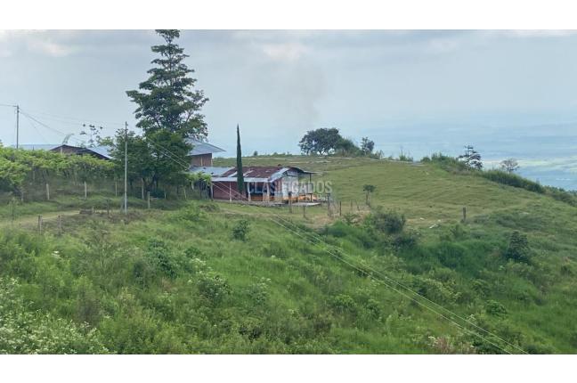 Fincas y Casas Campestres, Venta, Ginebra - $550.000.000