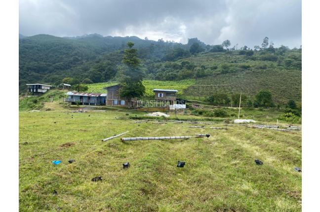 Fincas y Casas Campestres, Venta, Ginebra - $550.000.000