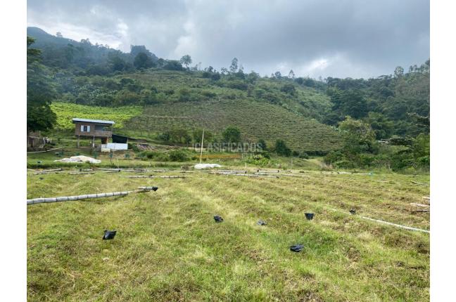 Fincas y Casas Campestres, Venta, Ginebra - $550.000.000