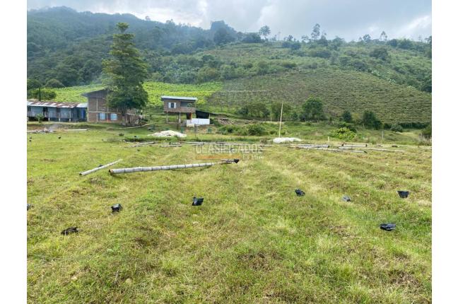 Fincas y Casas Campestres, Venta, Ginebra - $550.000.000