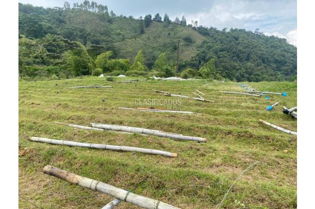 Fincas y Casas Campestres, Venta, Ginebra - $550.000.000