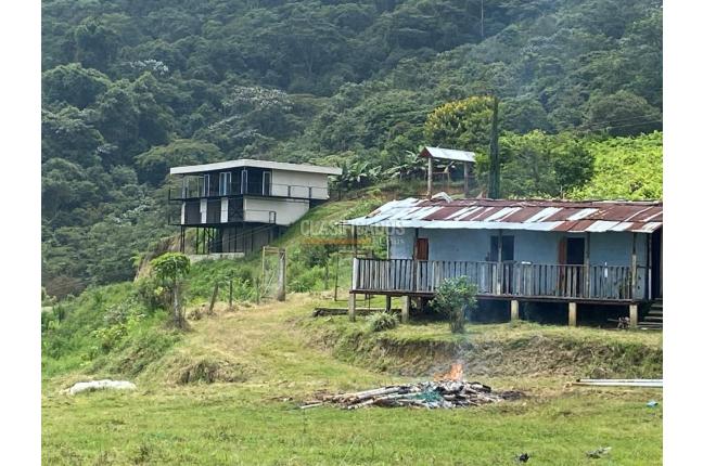 Fincas y Casas Campestres, Venta, Ginebra - $550.000.000