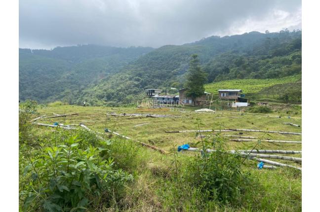 Fincas y Casas Campestres, Venta, Ginebra - $550.000.000