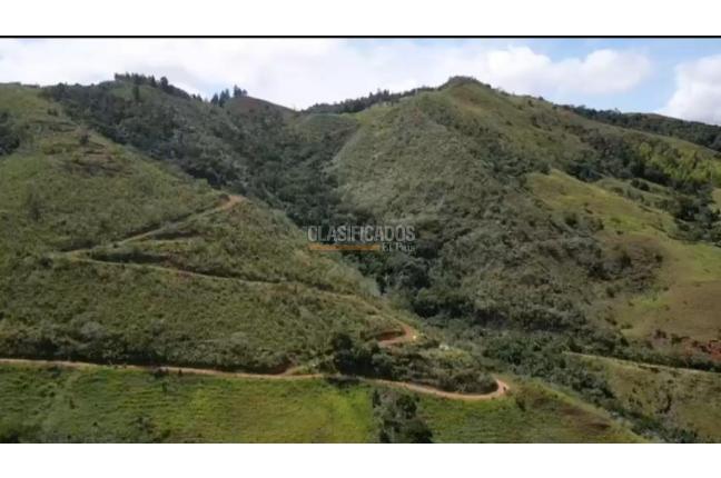 Lotes, Venta, La Cumbre - $1.900.000.000