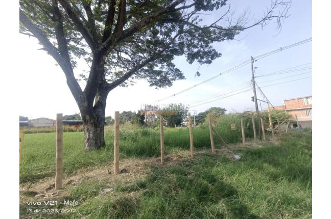 Lotes, Venta en Palmira