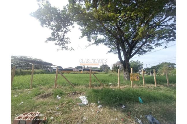 Lotes, Venta en Palmira