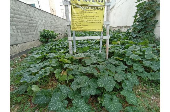 Lotes, Venta en La Flora