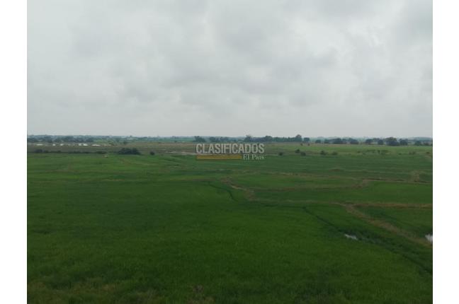 Apartamentos, Alquiler, Jamundí - $700.000