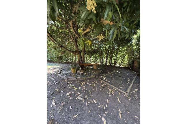 Casas, Venta, Pance - $1.750.000.000