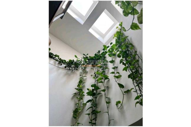 Apartamentos, Venta, Santa Teresita - $850.000.000