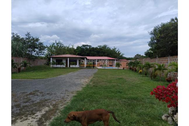 Casas, Venta, Palmira - $800.000.000