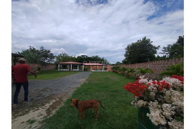 Casas, Venta, Palmira - $800.000.000