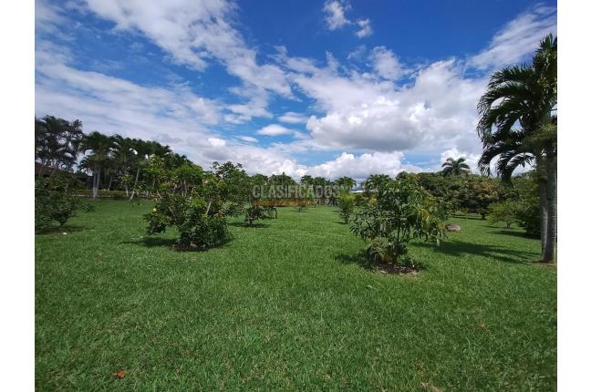 Casas, Venta, Palmira - $1.400.000.000