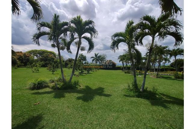 Casas, Venta, Palmira - $1.400.000.000