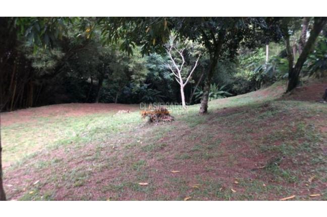 Lotes, Alquiler, La Buitrera - $14.000.000