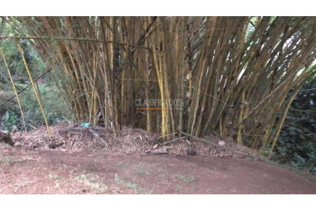 Lotes, Alquiler, La Buitrera - $14.000.000