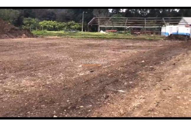 Lotes, Alquiler en Cota