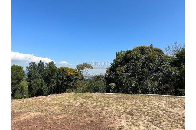 Lotes, Venta en Floridablanca