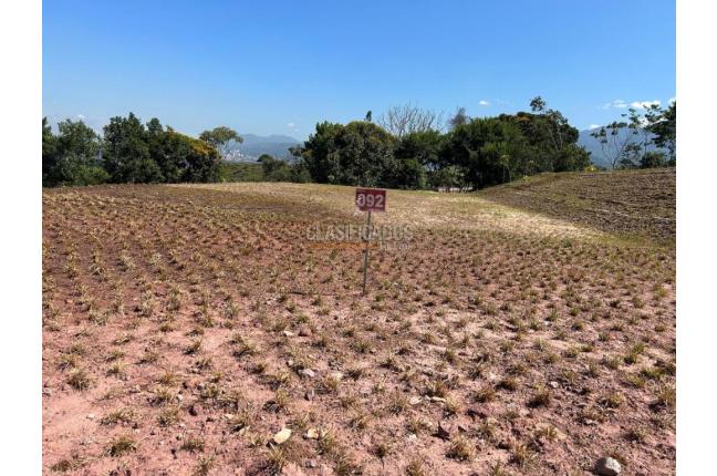 Lotes, Venta, Floridablanca - $880.000.000