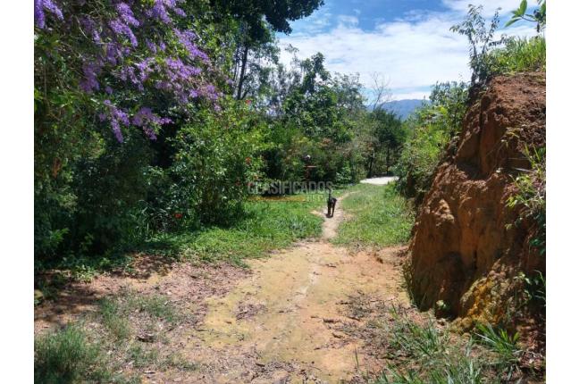 Lotes, Venta, Floridablanca - $22.500.000.000