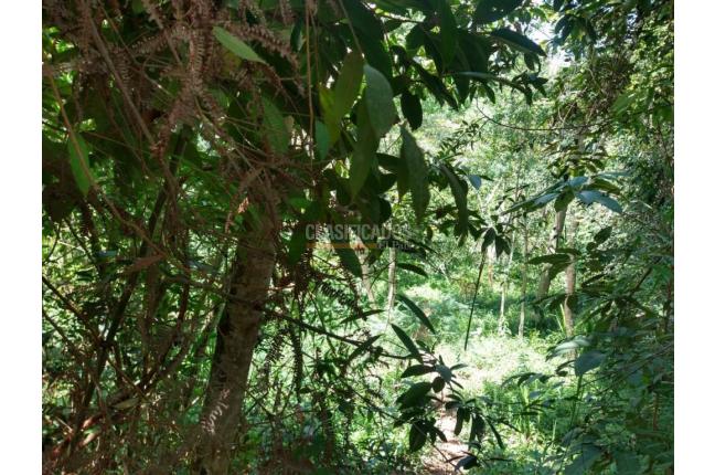 Lotes, Venta, Floridablanca - $22.500.000.000