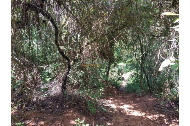 Lotes, Venta, Floridablanca - $22.500.000.000