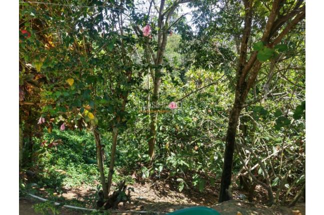 Lotes, Venta, Floridablanca - $22.500.000.000