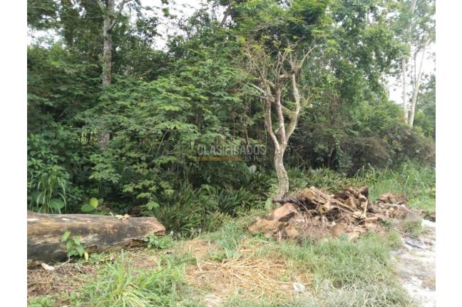 Lotes, Venta, Floridablanca - $470.000.000