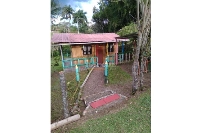 Fincas y Casas Campestres, Venta, Pereira - $1.300.000.000