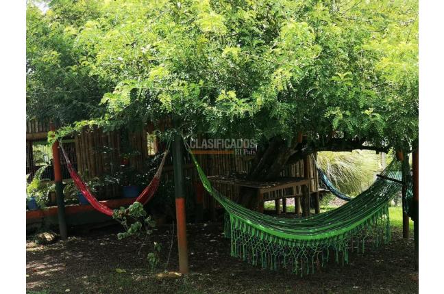 Fincas y Casas Campestres, Venta, Pereira - $1.300.000.000