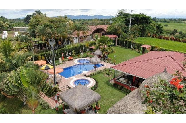Fincas y Casas Campestres, Venta, Pereira - $1.300.000.000