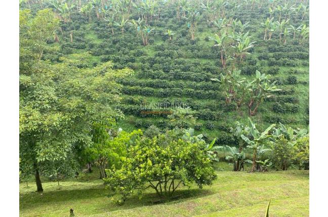 Casas, Venta, Pereira - $1.450.000.000