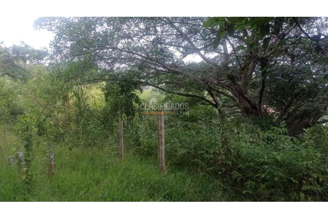 Lotes, Venta en Cascajal