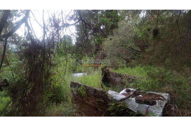 Lotes, Venta en Cascajal