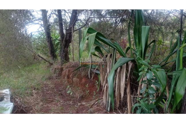 Lotes, Venta, Cascajal - $375.000.000