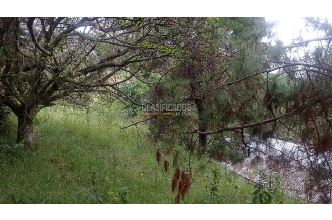 Lotes, Venta, Cascajal - $375.000.000