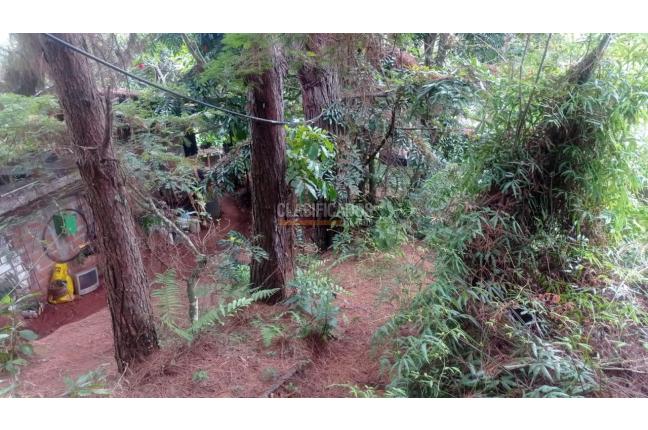 Lotes, Venta, Cascajal - $375.000.000