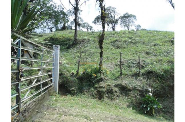 Lotes, Venta, Dagua - $805.000.000