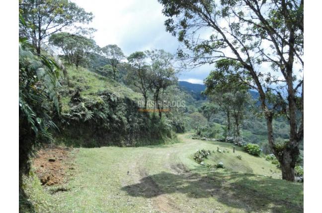 Lotes, Venta, Dagua - $805.000.000