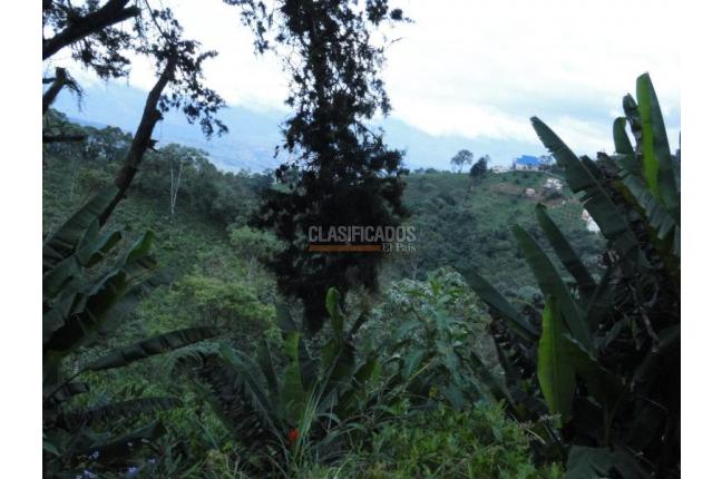 Lotes, Venta, Dagua - $805.000.000