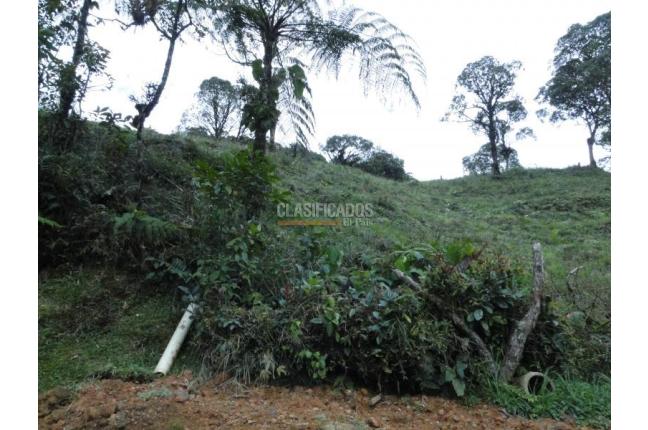 Lotes, Venta, Dagua - $805.000.000