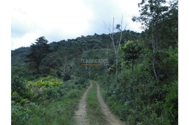 Lotes, Venta, Dagua - $805.000.000