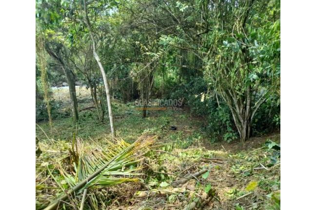 Lotes, Venta, Pance - $2.400.000.000