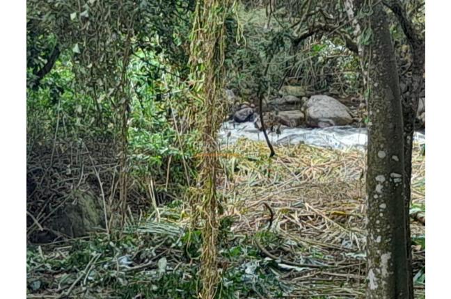 Lotes, Venta, Pance - $2.400.000.000