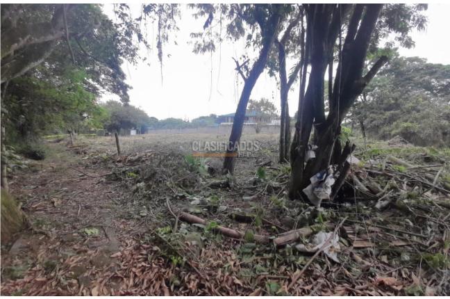 Lotes, Venta, Pance - $2.400.000.000