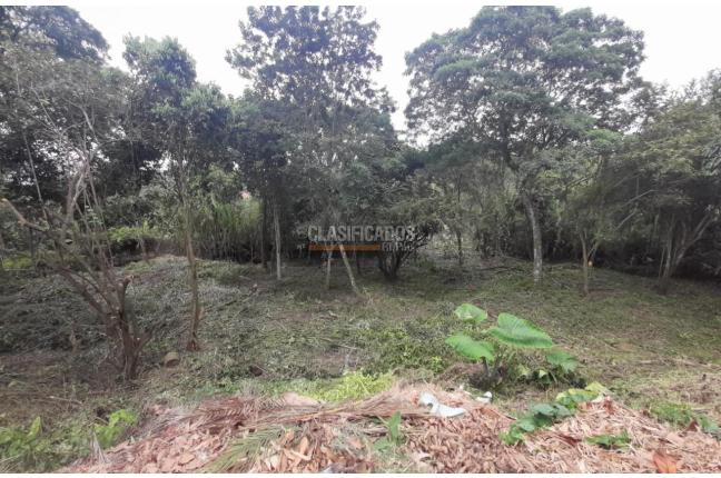 Lotes, Venta, Pance - $2.400.000.000