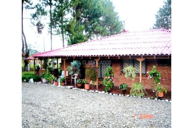 Fincas y Casas Campestres, Venta, Calima (Darién) - $735.000.000