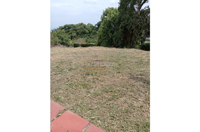 Lotes, Venta en Dapa