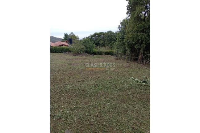 Lotes, Venta en Dapa