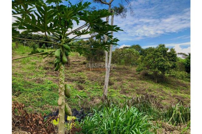 Lotes, Venta, Yumbo - $450.000.000